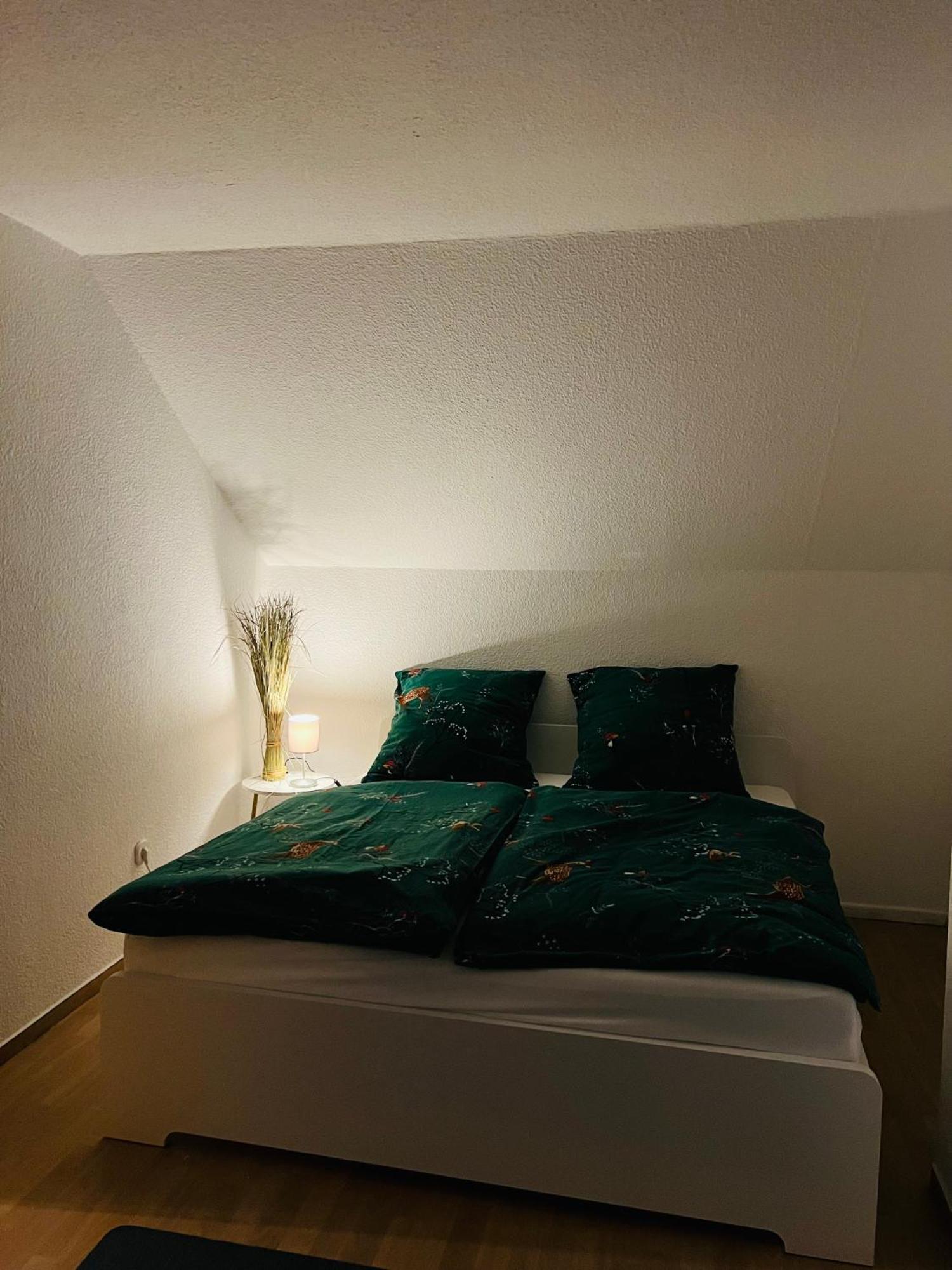 Ferienwohnung Nannerl باد ساخسا المظهر الخارجي الصورة